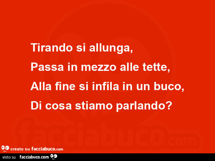 Tirando si allunga,              passa in mezzo alle tette, alla fine si infila in un buco, di cosa stiamo parlando?