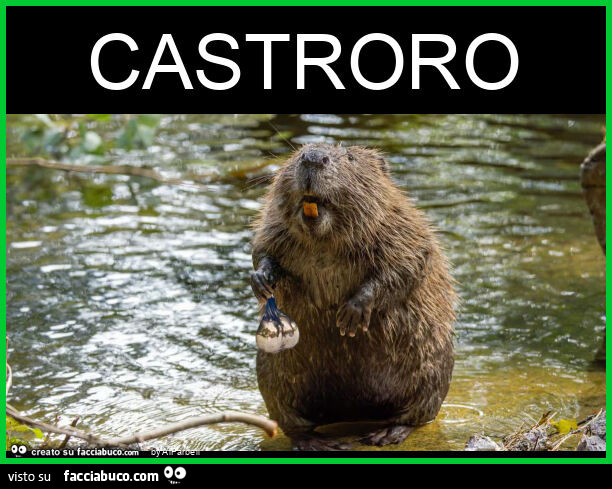 Castroro