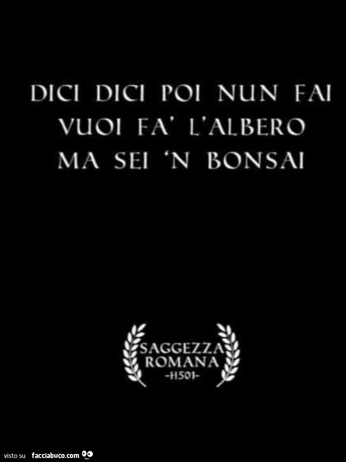 Dici dici poi nun fai vuoi fà l'albero ma sei 'n bonsai