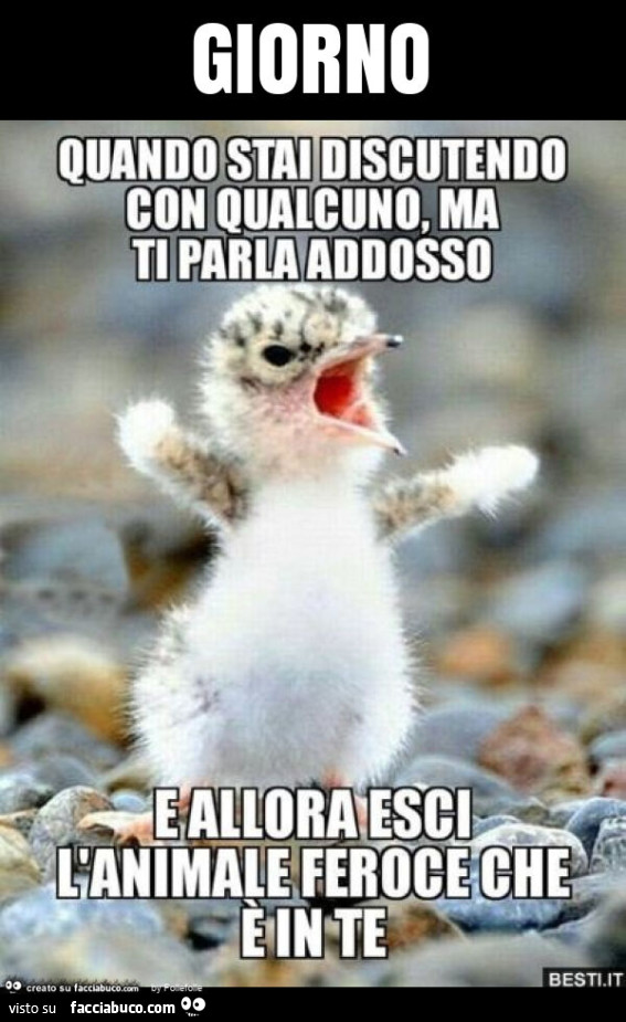 Giorno