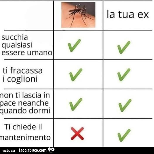 La zanzara e la tua ex