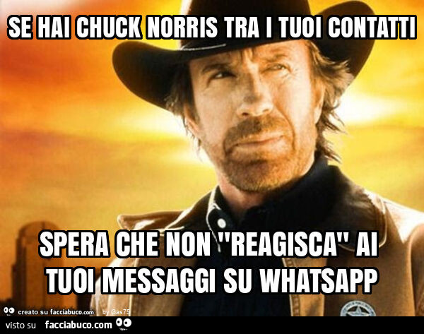 Se hai chuck norris tra i tuoi contatti spera che non "reagisca" ai tuoi messaggi su whatsapp