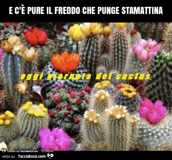 E c'è pure il freddo che punge stamattina