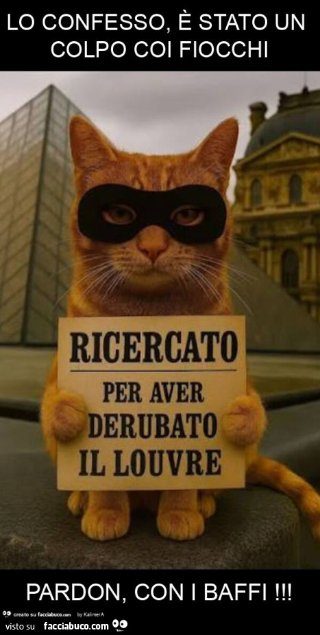 Lo confesso, è stato un colpo coi fiocchi pardon, con i baffi