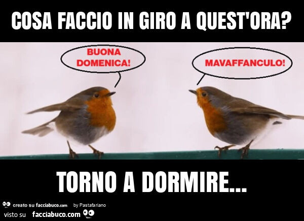 Cosa faccio in giro a quest'ora? Torno a dormire