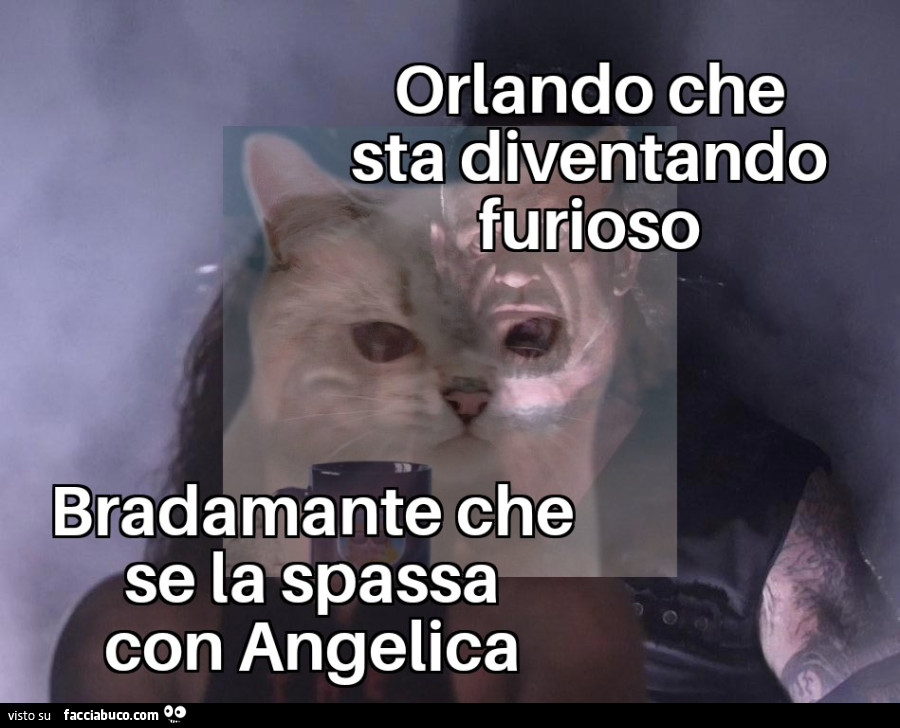 Vaccata