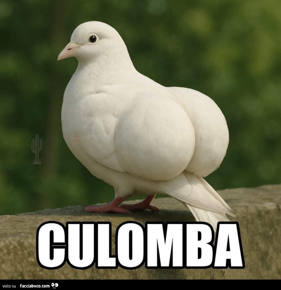 Culomba