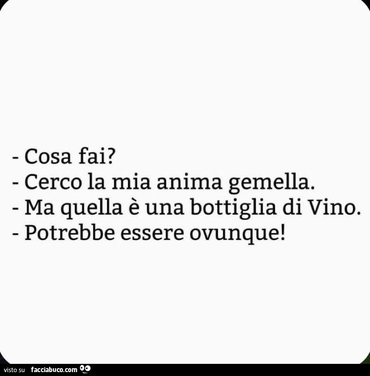 Cosa fai? Cerco la mia anima gemella. Ma quella è una bottiglia di vino. Potrebbe essere ovunque