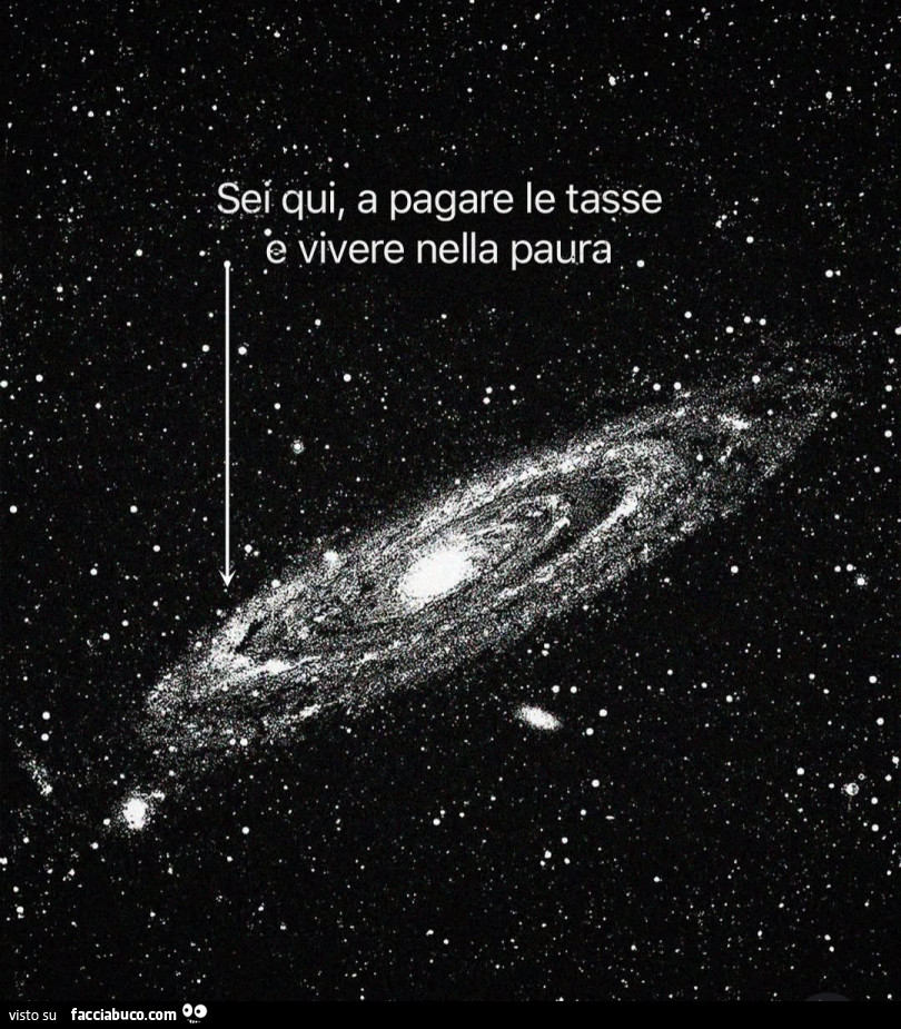 Sei qui, a pagare le tasse e vivere nella paura