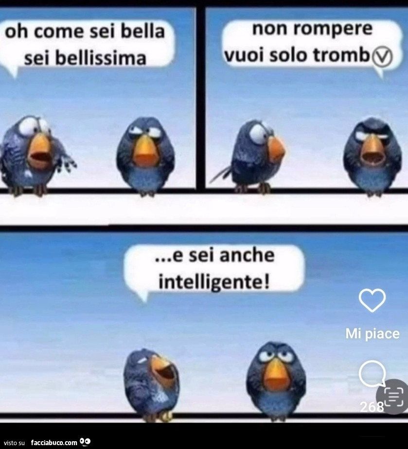 Come sei bella
