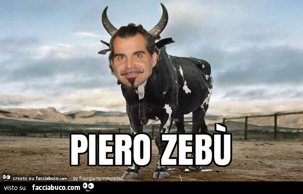 Piero zebù