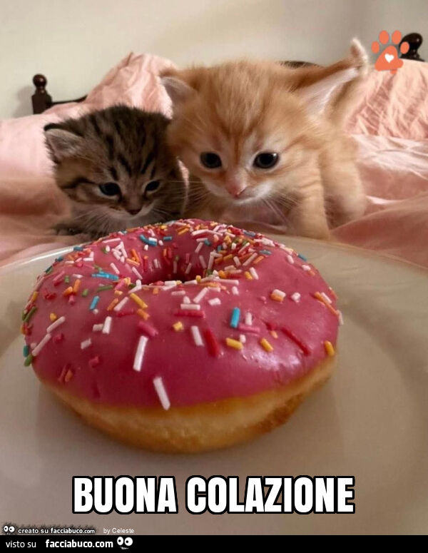 Buona colazione