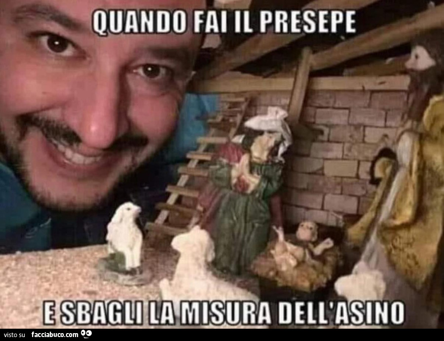 Quando fai il presepe e sbagli misura dell'asino