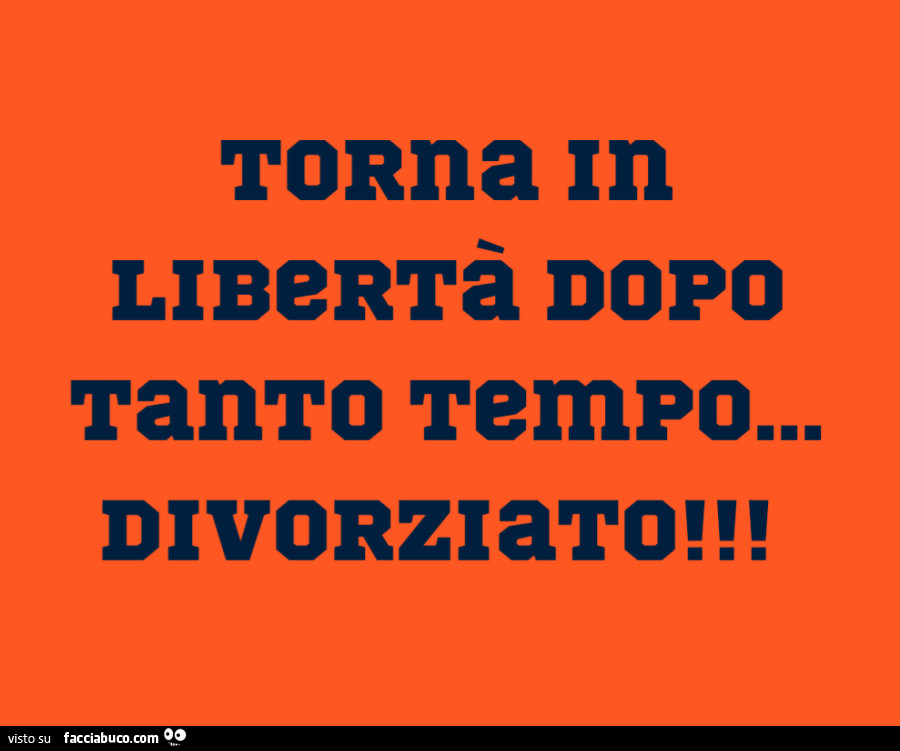 Torna in libertà dopo tanto tempo… divorziato