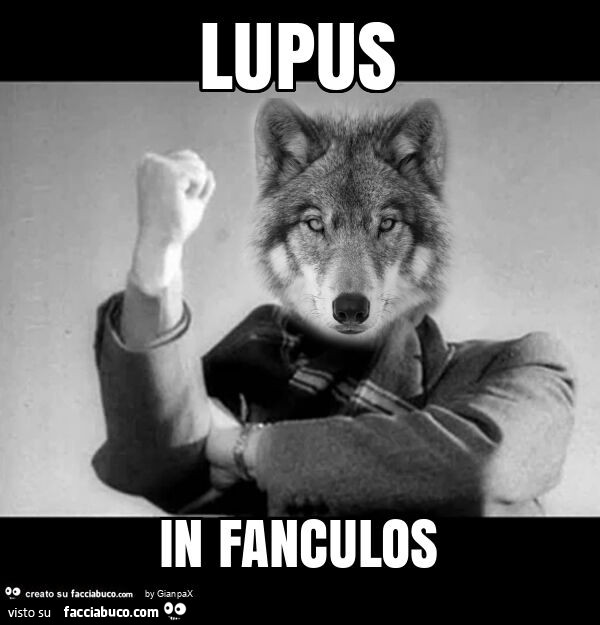 Lupus in fanculos
