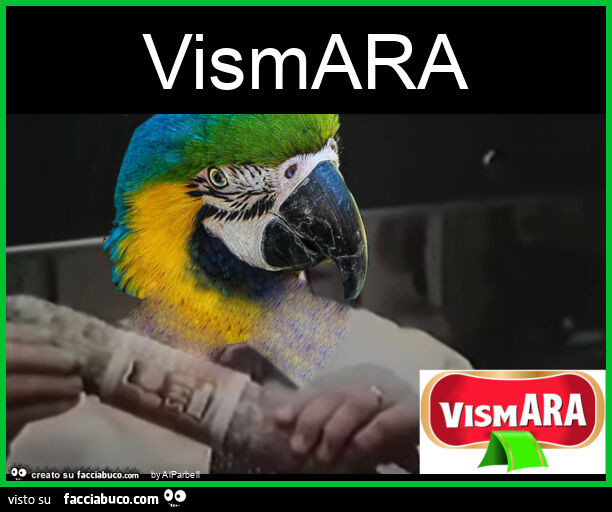 Vismara