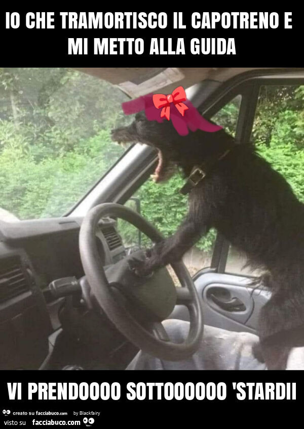 Io che tramortisco il capotreno e mi metto alla guida vi prendoooo sottoooooo 'stardii