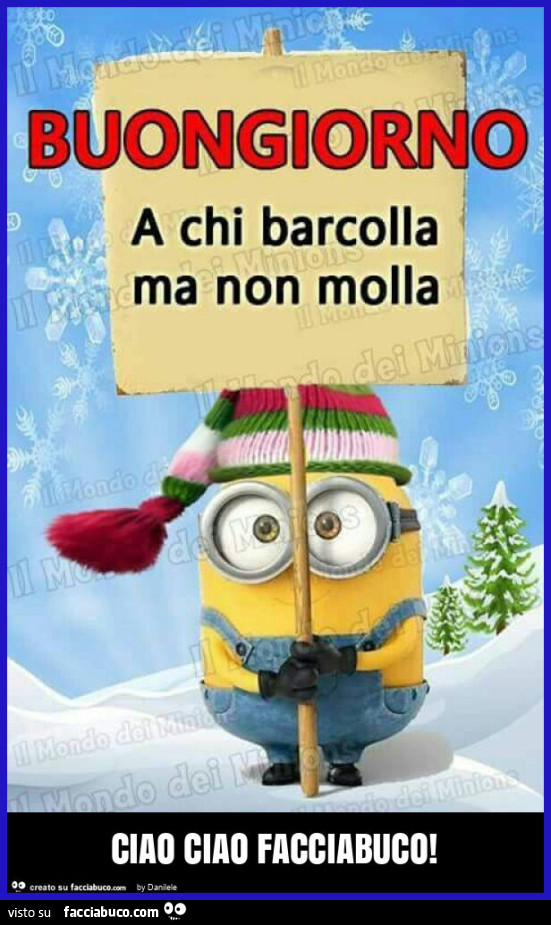 Ciao ciao facciabuco