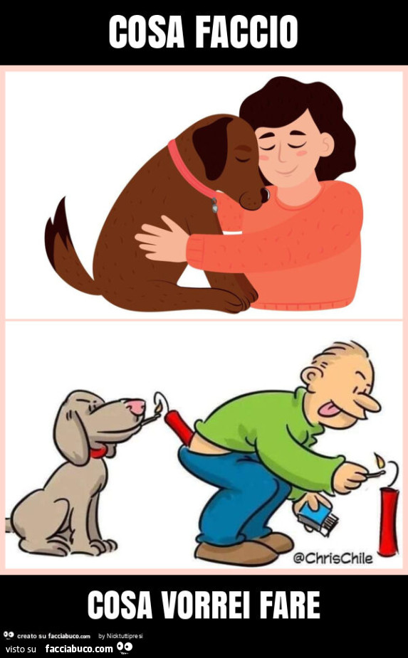 Cosa faccio cosa vorrei fare