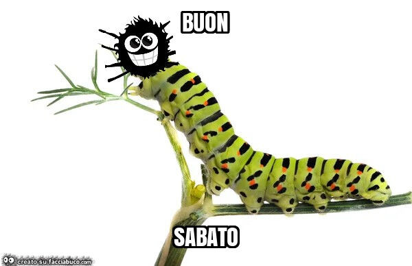 Buon sabato