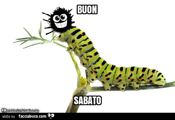 Buon sabato