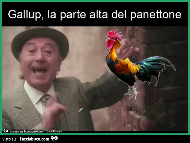 Gallup, la parte alta del panettone