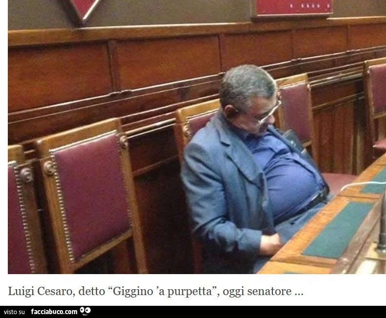 Luigi Cesaro, Senato italiano