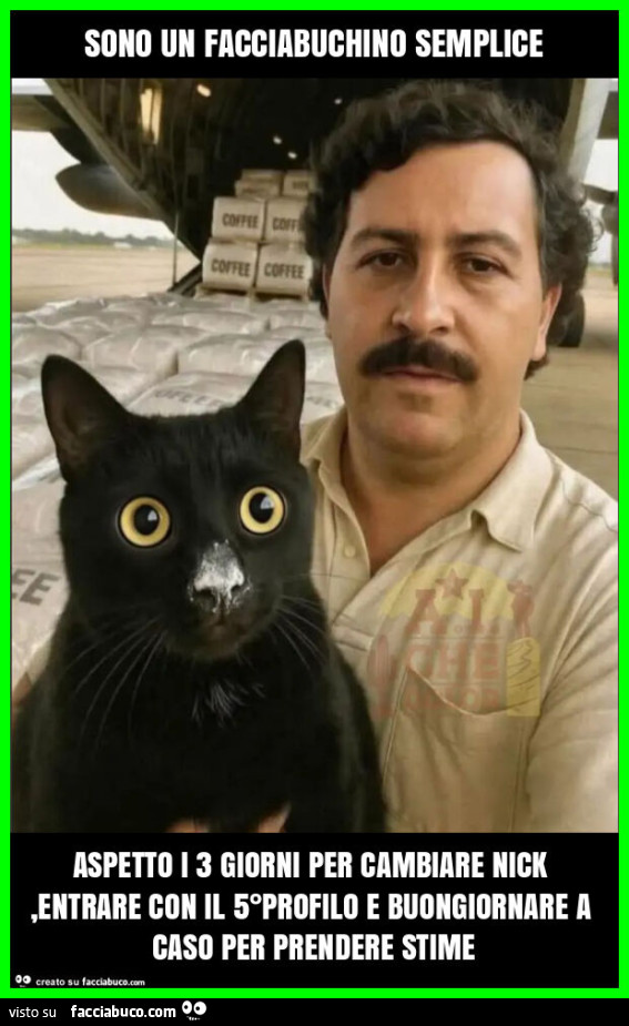 Sono un facciabuchino semplice aspetto i 3 giorni per cambiare nick, entrare con il 5°profilo e buongiornare a caso per prendere stime