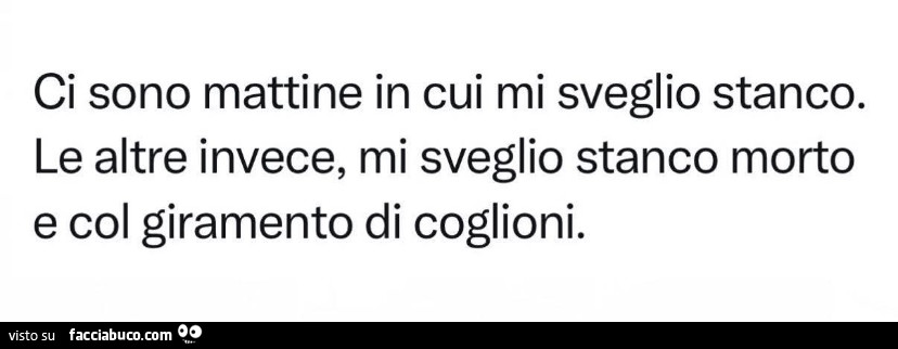 Ci sono mattine in cui mi sveglio stanco. Le altre invece, mi sveglio stanco morto e col giramento di coglioni