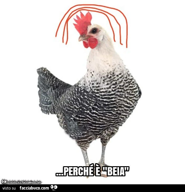 Perché è beia