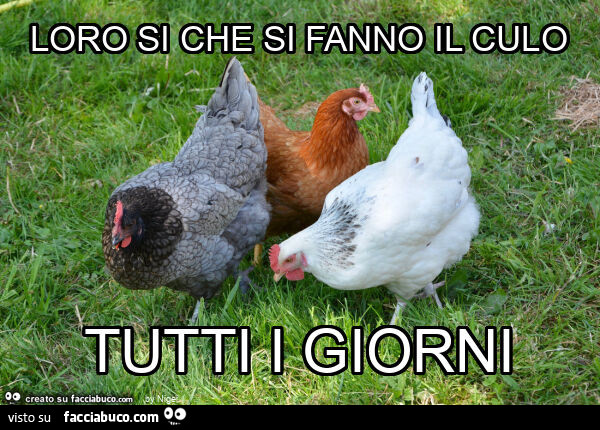 Loro si che si fanno il culo tutti i giorni