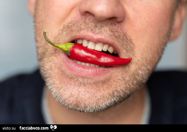La sera utile mangiare un peperoncino rosso Calabrese