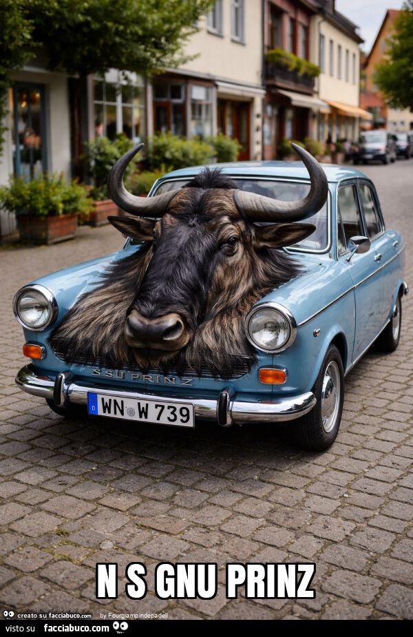N s gnu prinz