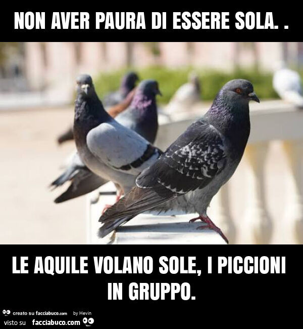 Non aver paura di essere sola. Le aquile volano sole, i piccioni in gruppo
