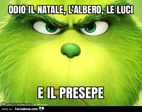 Odio il natale, l'albero, le luci e il presepe