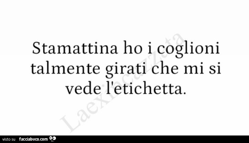 Stamattina ho i coglioni talmente girati che mi si vede l'etichetta