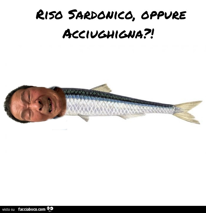 Riso Sardonico, oppure acciughigna?