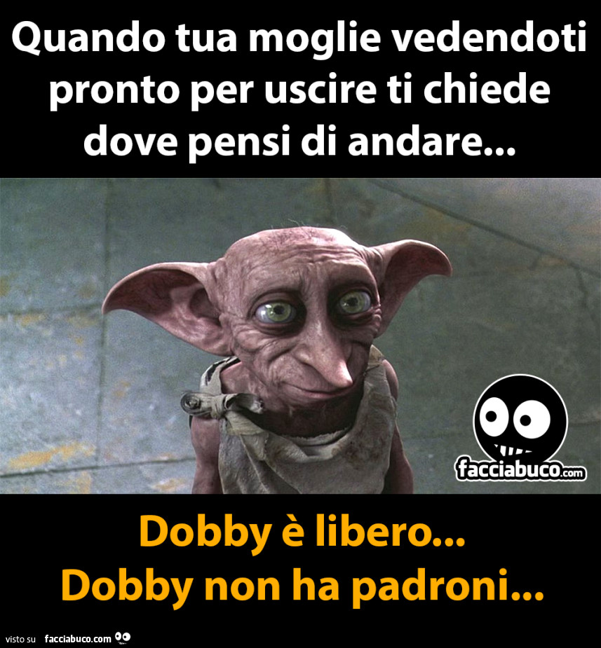 Quando tua moglie vedendoti pronto per uscire ti chiede dove pensi di andare&hellip; Dobby è libero&hellip; Dobby non ha padroni