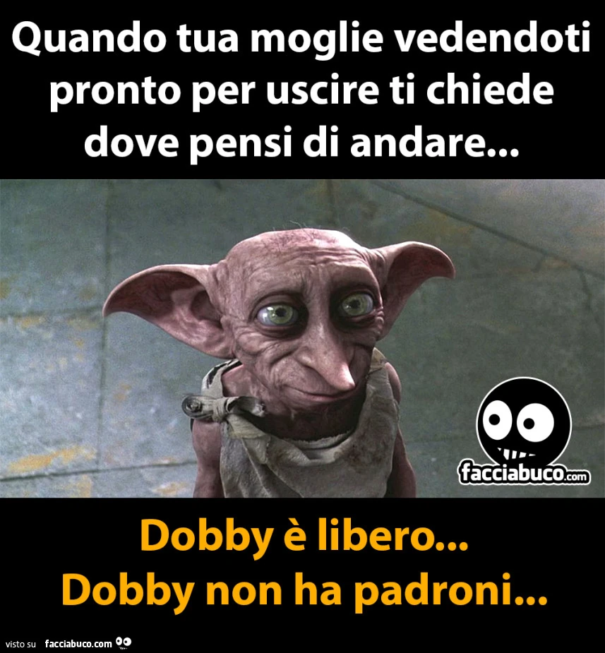 Quando tua moglie vedendoti pronto per uscire ti chiede dove pensi di andare… Dobby รจ libero… Dobby non ha padroni