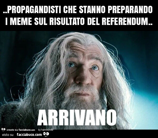 Propagandisti che stanno preparando i meme sul risultato del referendum