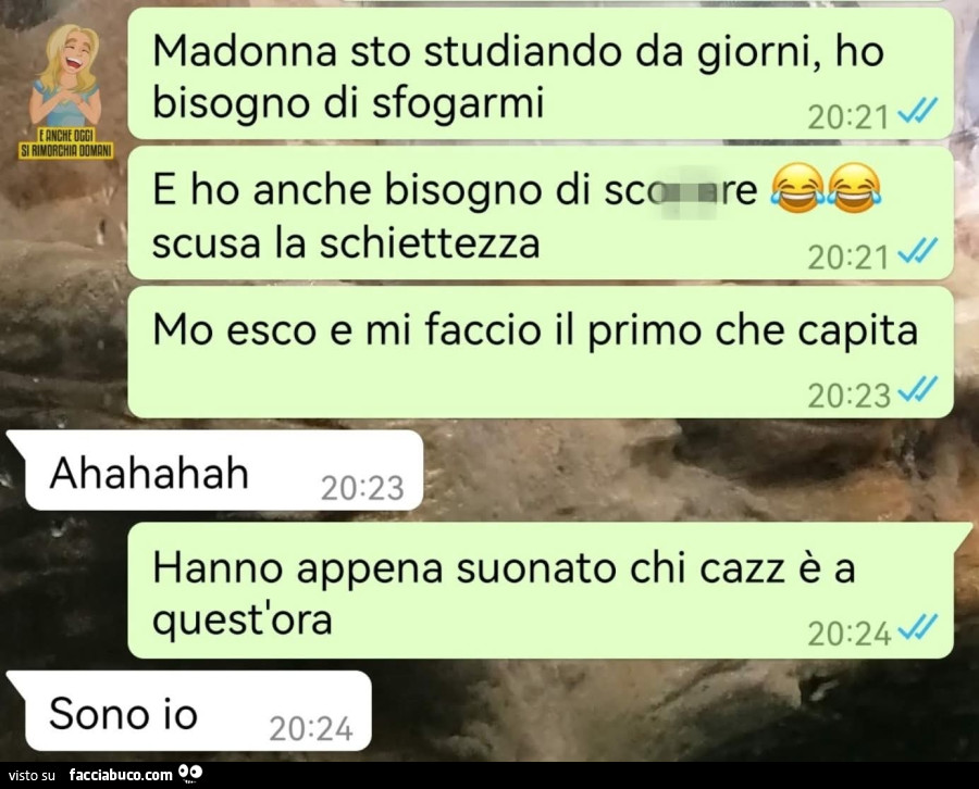 Vaccata