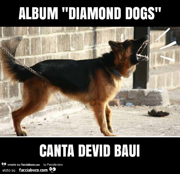 Album "diamond dogs" canta devid baui