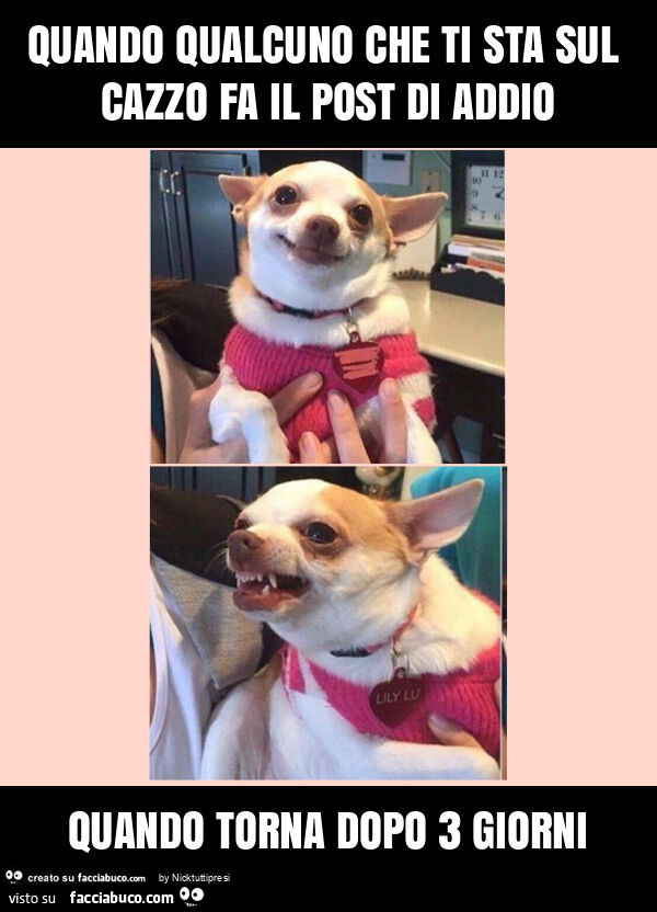 Quando qualcuno che ti sta sul cazzo fa il post di addio quando torna dopo 3 giorni
