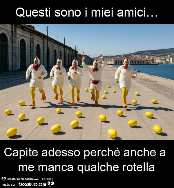 Questi sono i miei amici… capite adesso perchรฉ anche a me manca qualche rotella
