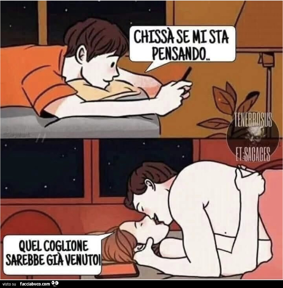 Vaccata