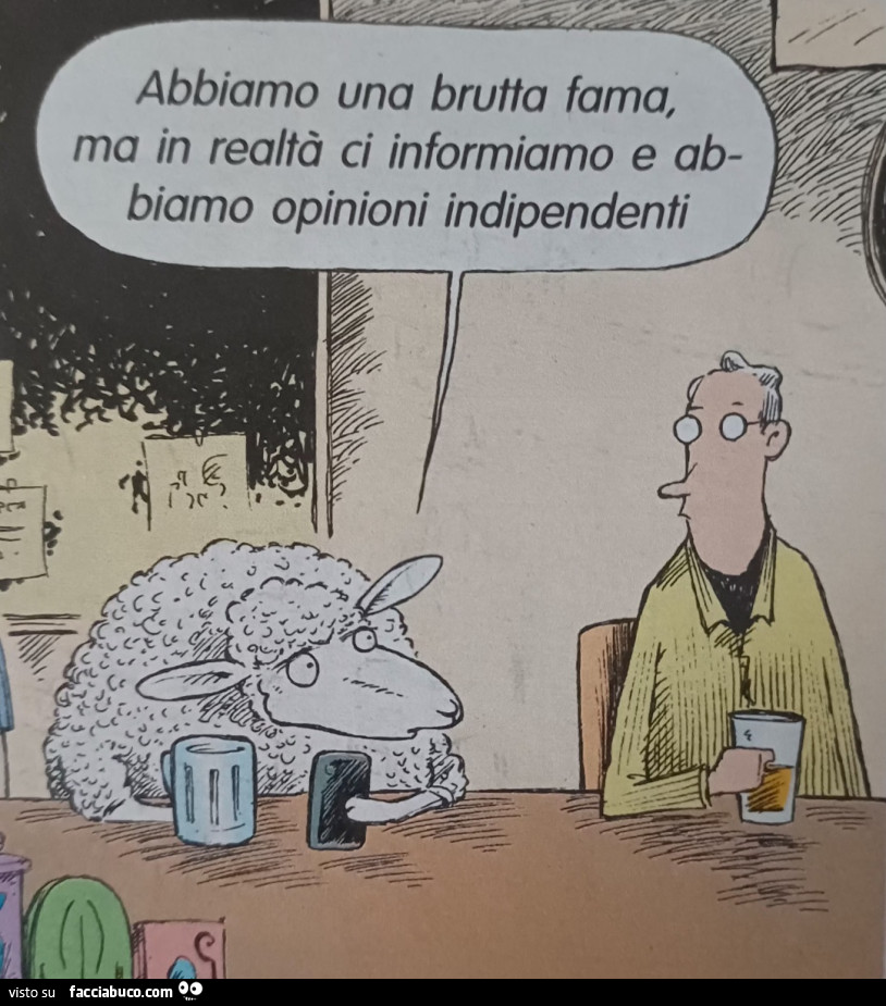 Abbiamo una brutta fama ma in realtà ci informiamo e abbiamo opinioni indipendenti vignetta la settimana enigmistica