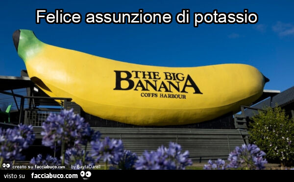 Ferragosto 2025. Felice assunzione di potassio
