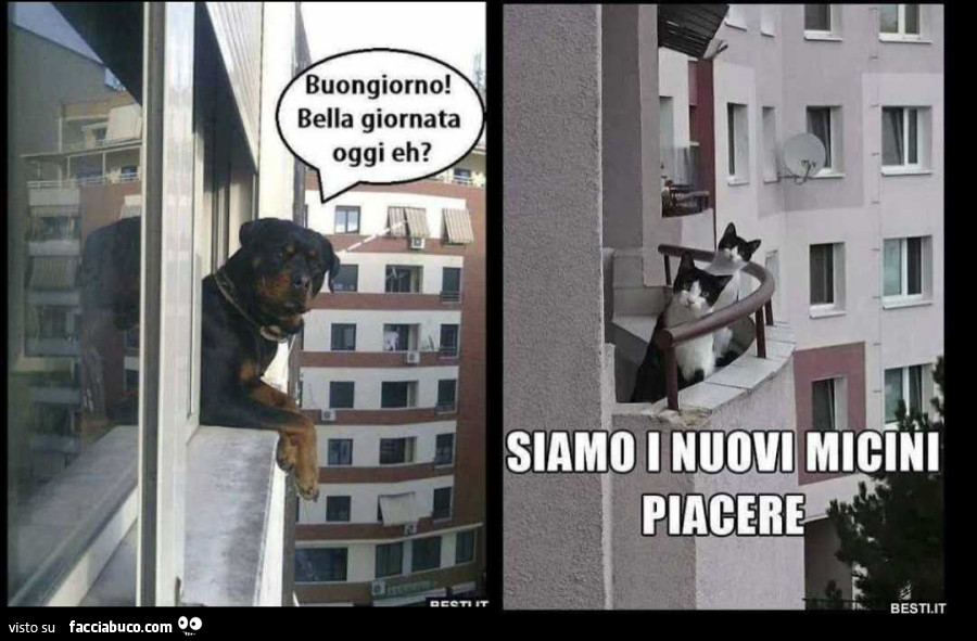 Micini