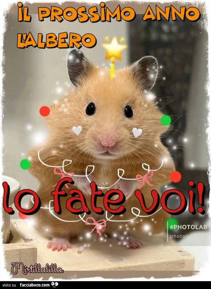 Il prossimo anno