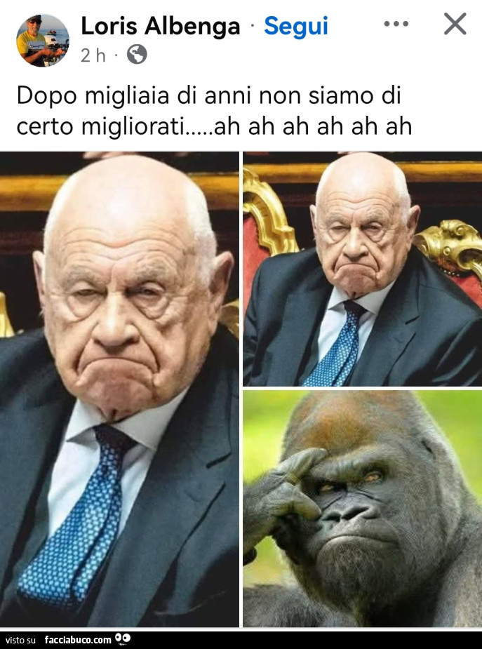 Vaccata